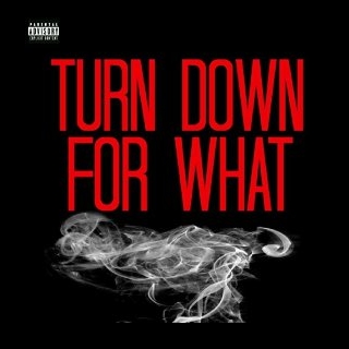 Turn Down for What (feat. Juicy J, 2 Chainz & French Montana) [Remix]