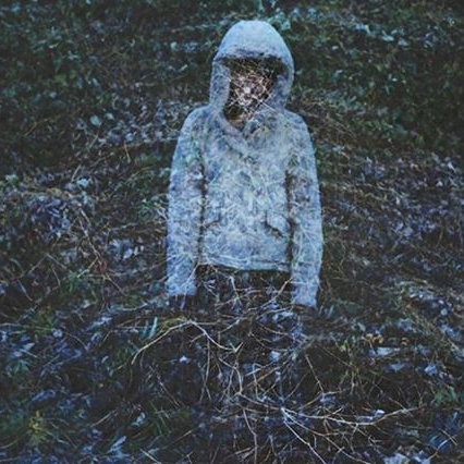 bird flew somewhere iii