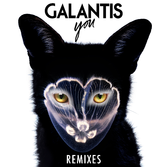 You Remixes