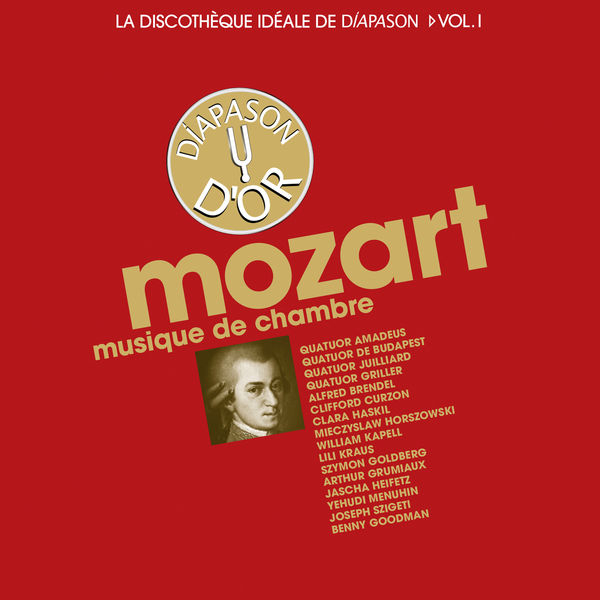 Quintette a cordes No. 5 in D Major, K. 593 I. Larghetto  Allegro
