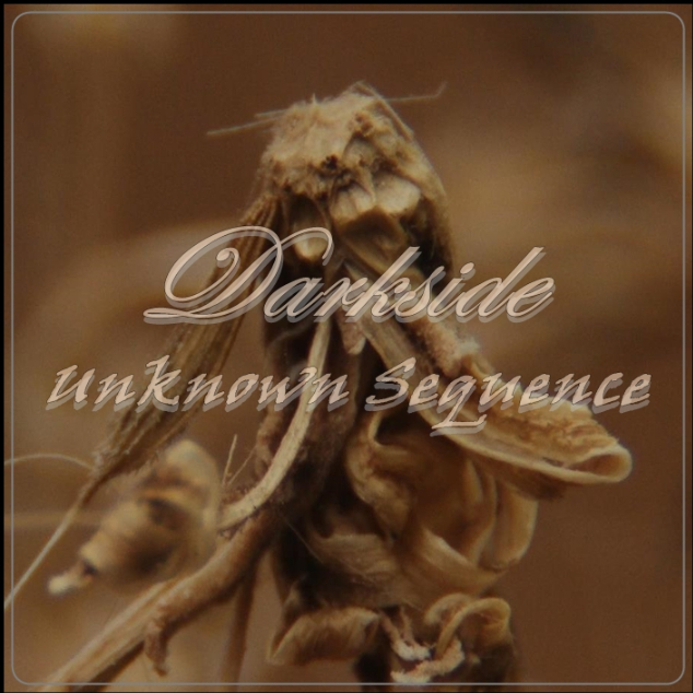 Jazzalucination (feat. JCreate)