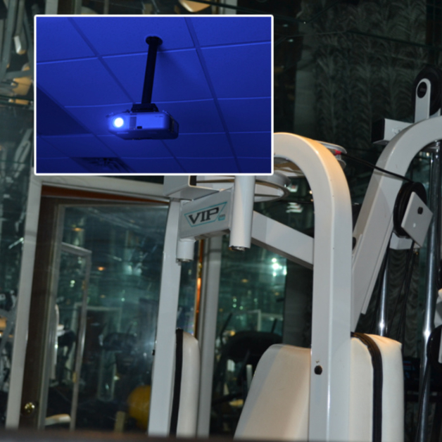 Rick Owens Can Eat My Shorts