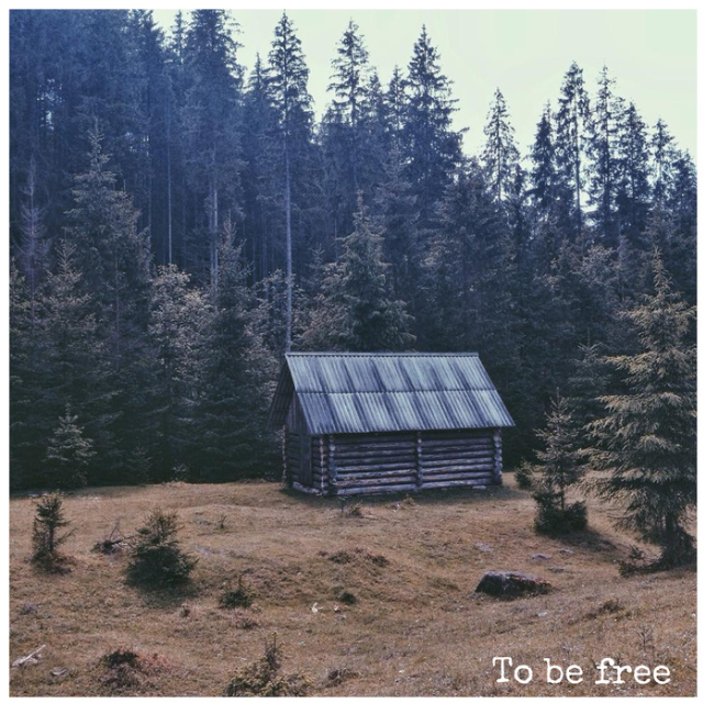 Don't You Want Me Baby (Human League cover)