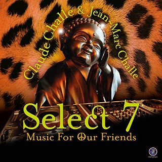 Walking With a Ghost (Alceen Remix)