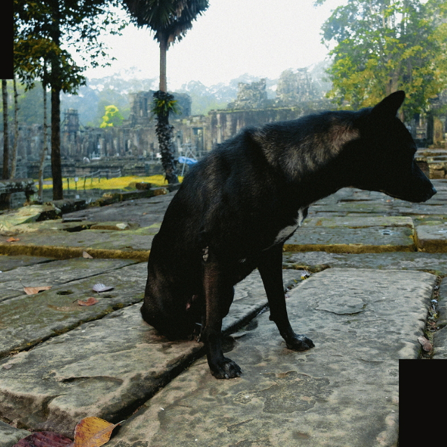 Only Wanting to Melt Beautifully Away Is It a Lack of Contentment That Stirs Affection for Those Things Said to Be as of Yet Unseen