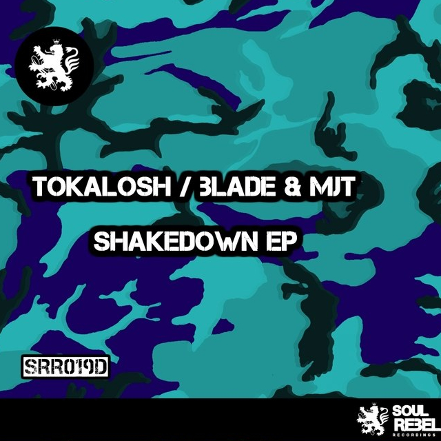 Shakedown (Original Mix)