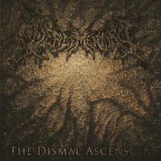 The Dismal Ascension