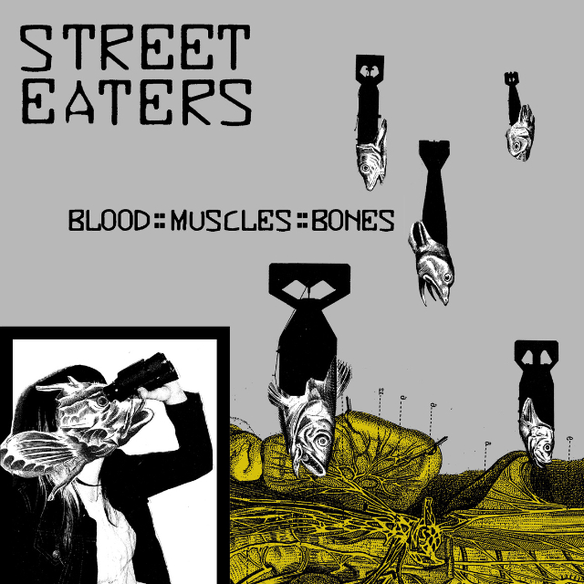 BLOOD::MUSCLES::BONES