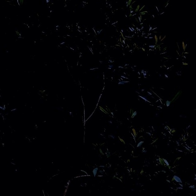 Midnight By A Stream Of The Hacking River