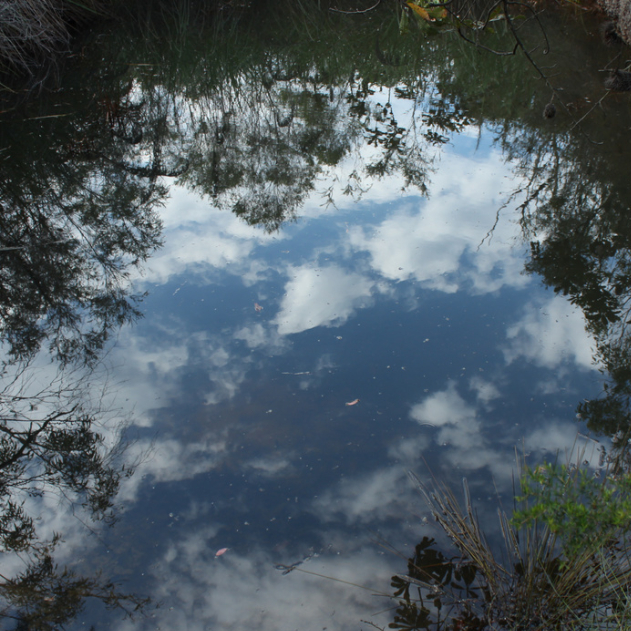 (Summer) Inside And Outside Of Pindar Pool