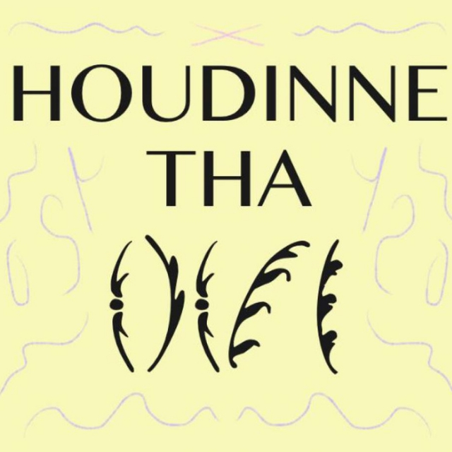 Houdinne Tha Fifth