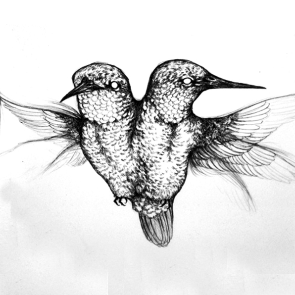 Wild Like Us (LP Version)