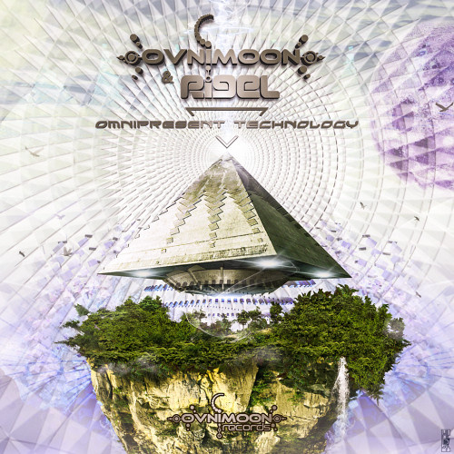 Nanorobotic Universe