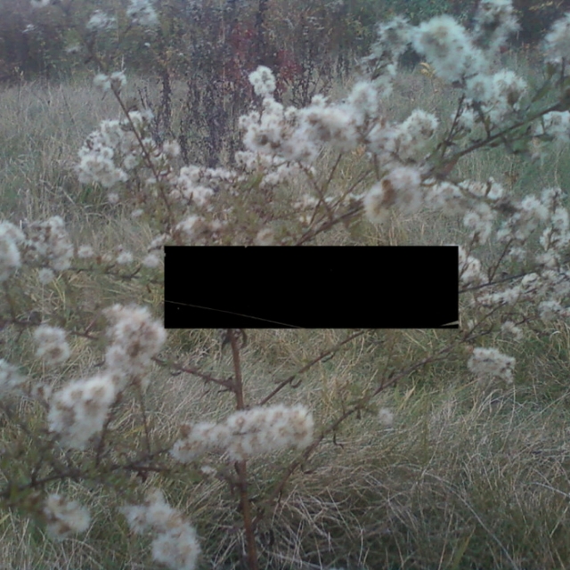 you're different, but everyone else has given up on me, so you probably will too.