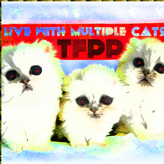 The Snack Would Raise your Cholesterol, and raised cholesterol level results in heart desiese, and ultimately, your death.  Please note, however, that this Snack is a metaphor.  It is not a real snack.