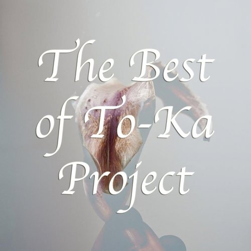 The Best Of To-Ka Project (up close)