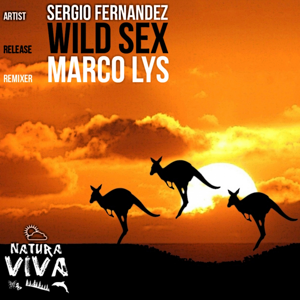 Wild Sex (Marco Lys Remix)