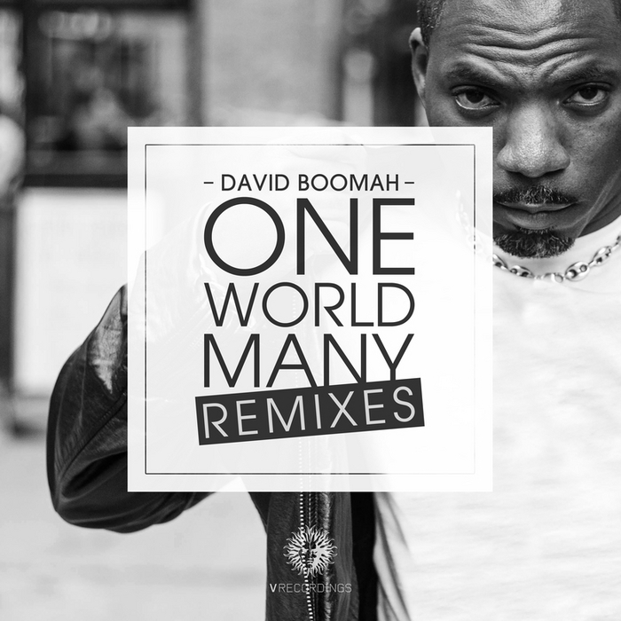 One World Many Remixes