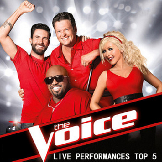 Bridge Over Troubled Water (The Voice Performance)