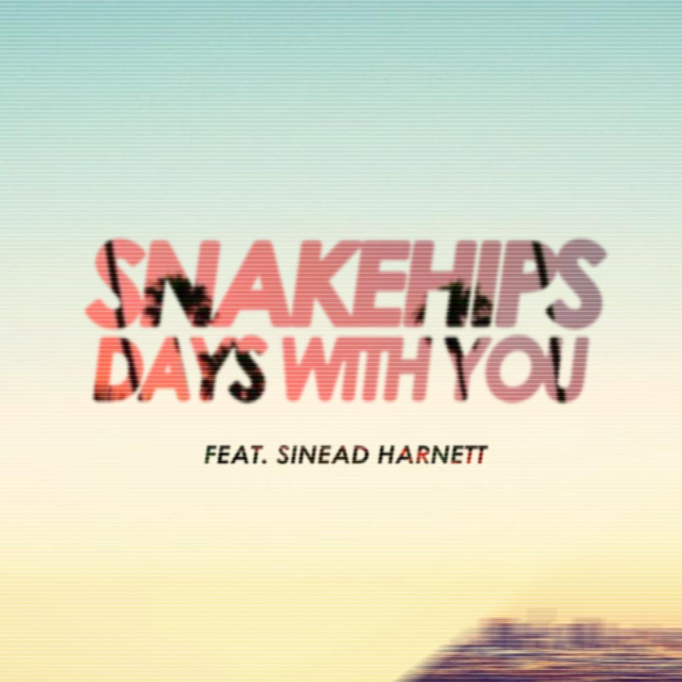 Days With You (Fwdslxsh Remix)