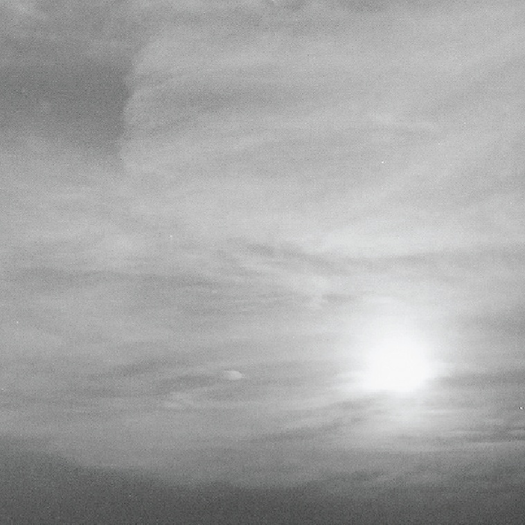 A Mid Summer's Day Dream