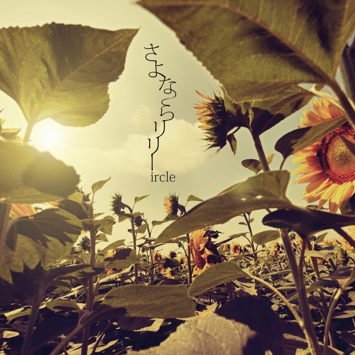 tao yuan xiang　 ex.