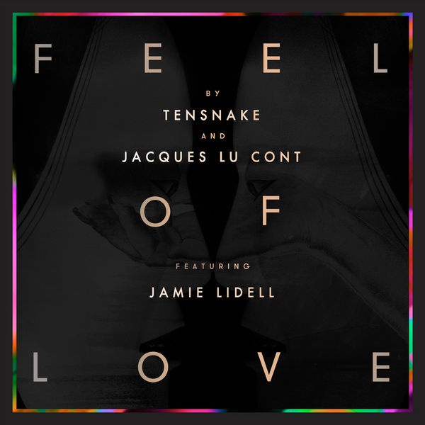 Feel Of Love (feat. Jamie Lidell) (Radio Edit)