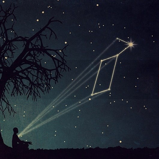 Fear Not The Cycle Of Life