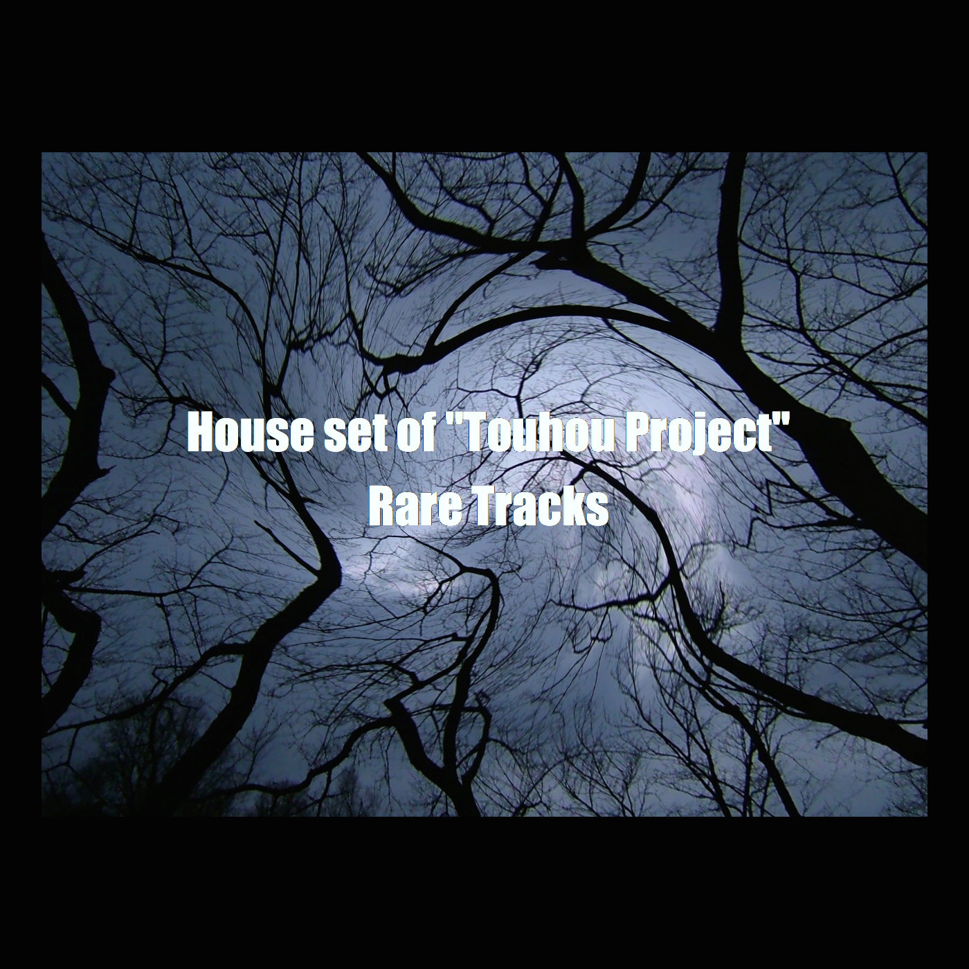 House set of "Touhou Project" Rare Tracks