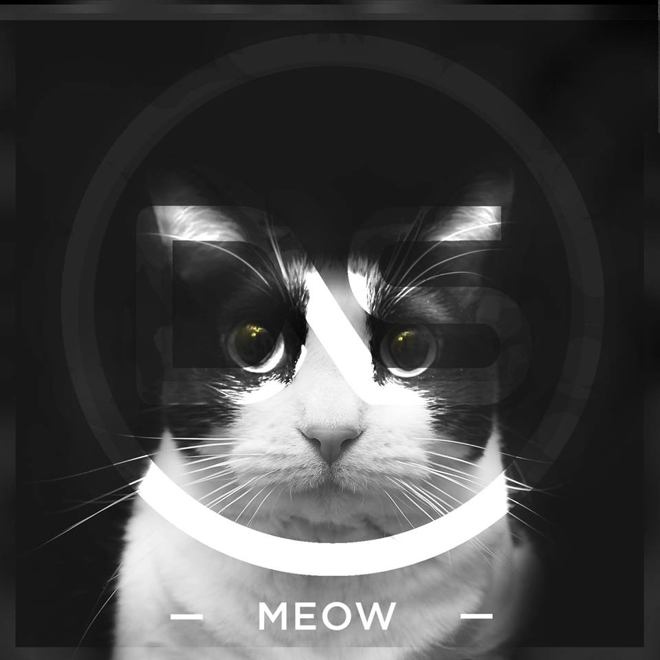 Meow Share