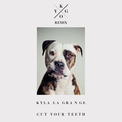 Cut Your Teeth (Kygo Remix)