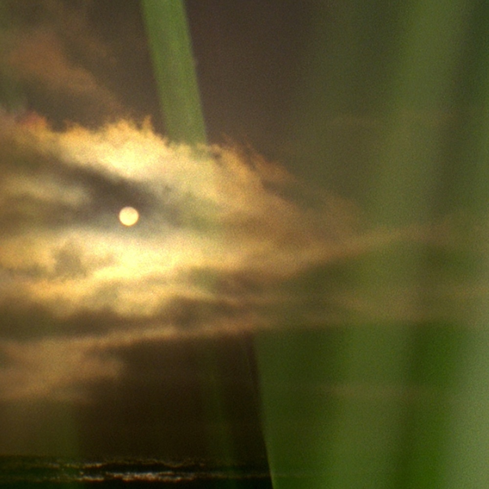 Bee Free (Warlick Mix)