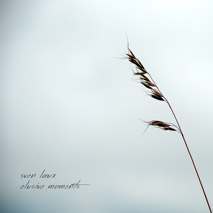 Hovering Between Hope And Reality (Part 2)