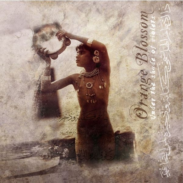 Under the Shade of Violets