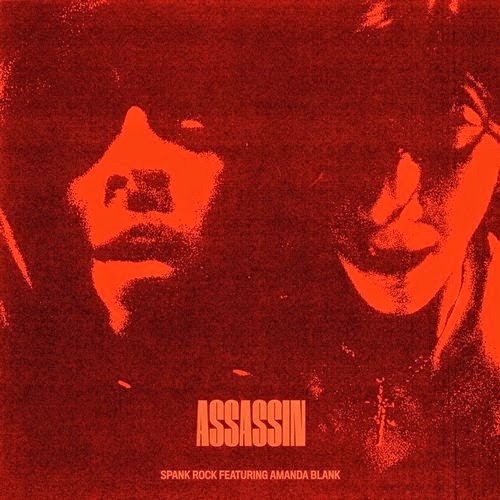 Assassin (ft. Amanda Blank) (Single)