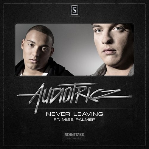 Never Leaving (Original Mix)