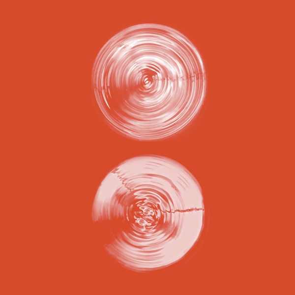 Wandering in the Dandenongs