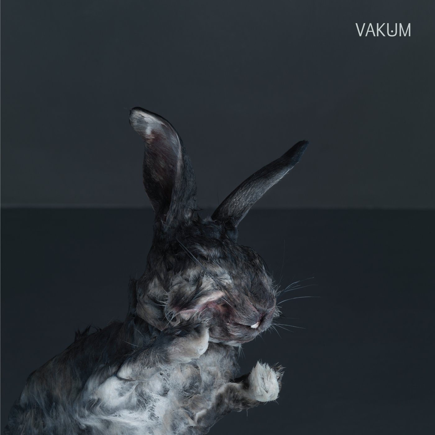 Paraplektisk Paraply