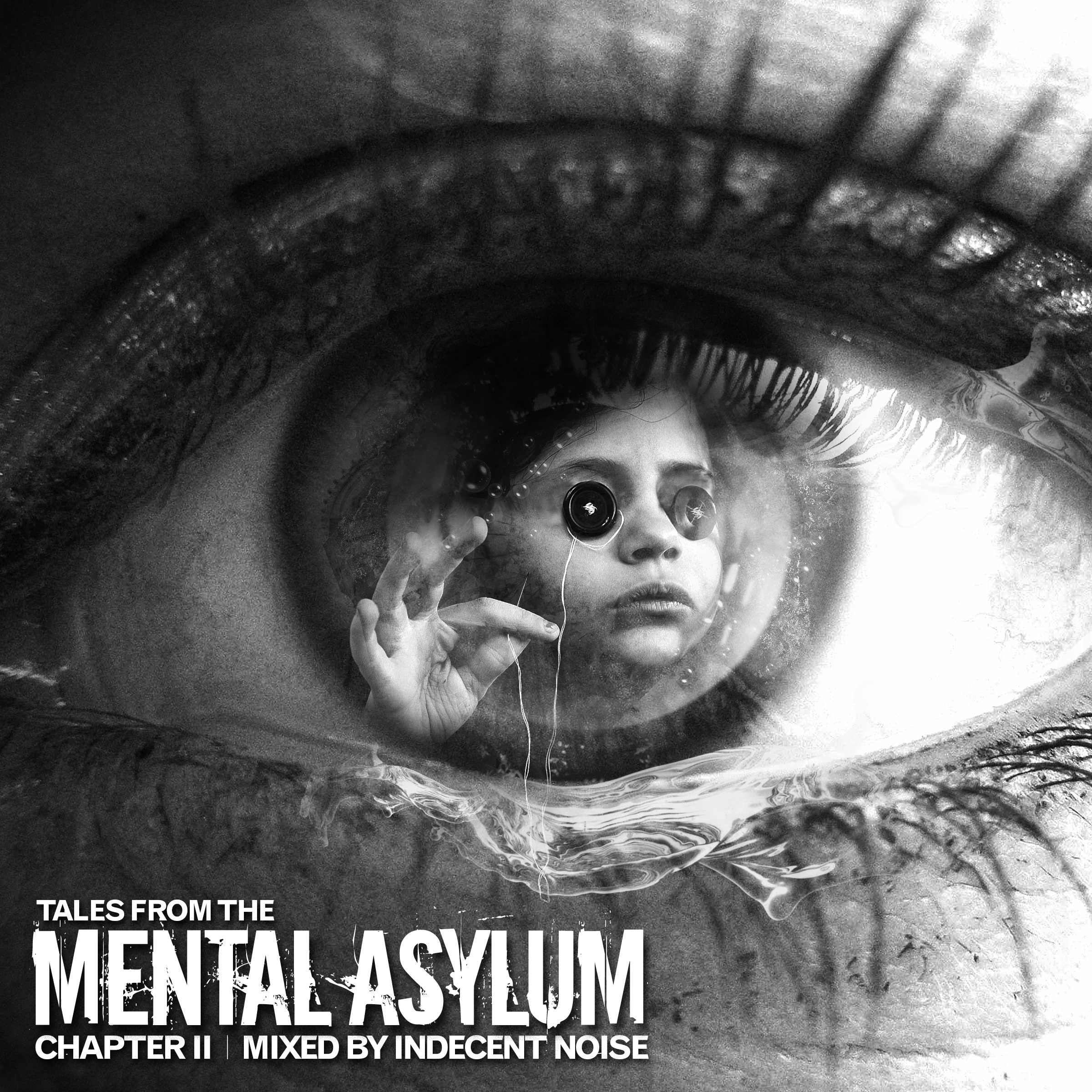 Tales From The Mental Asylum: Chapter II