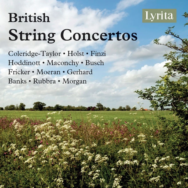 Concerto for Violin and Small Orchestra, Op.11: I. Con moto