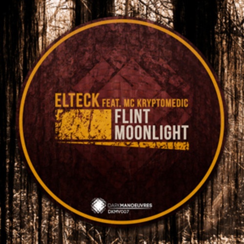 Flint (feat. MC Kryptomedic)