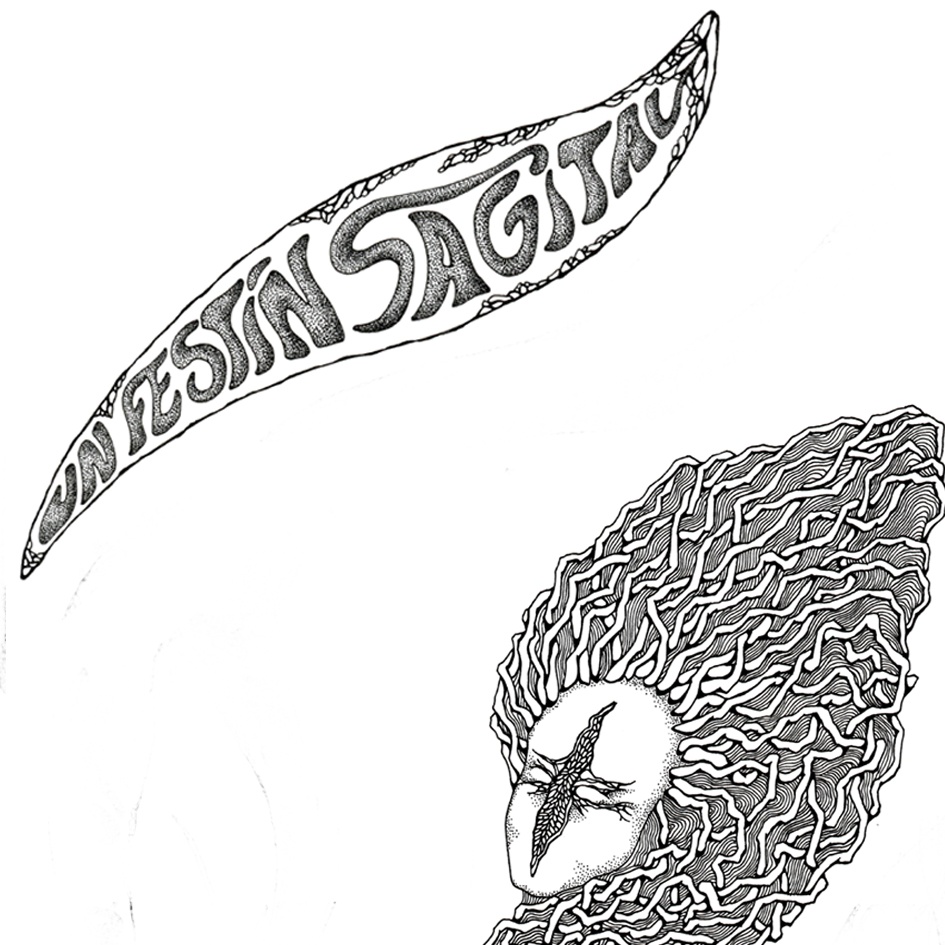 Un Festi n Sagital 2004  2014