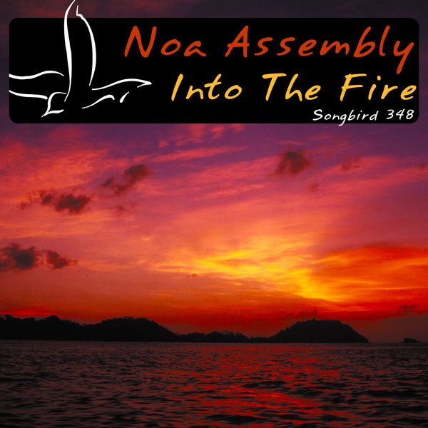 Into The Fire (Extended Mix)