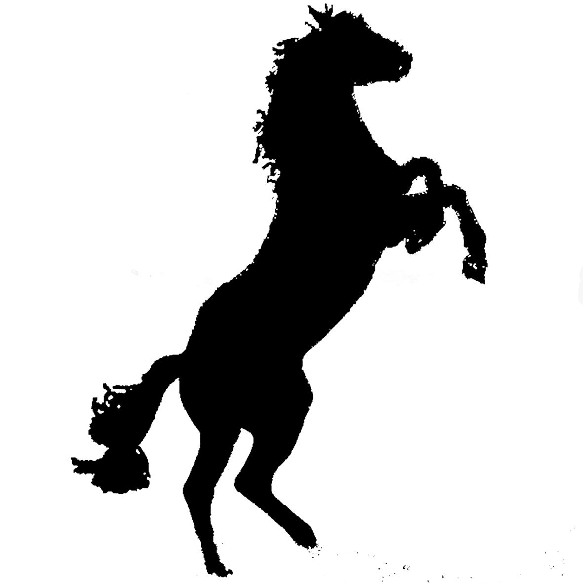 Wars Between Walls pan shu lou