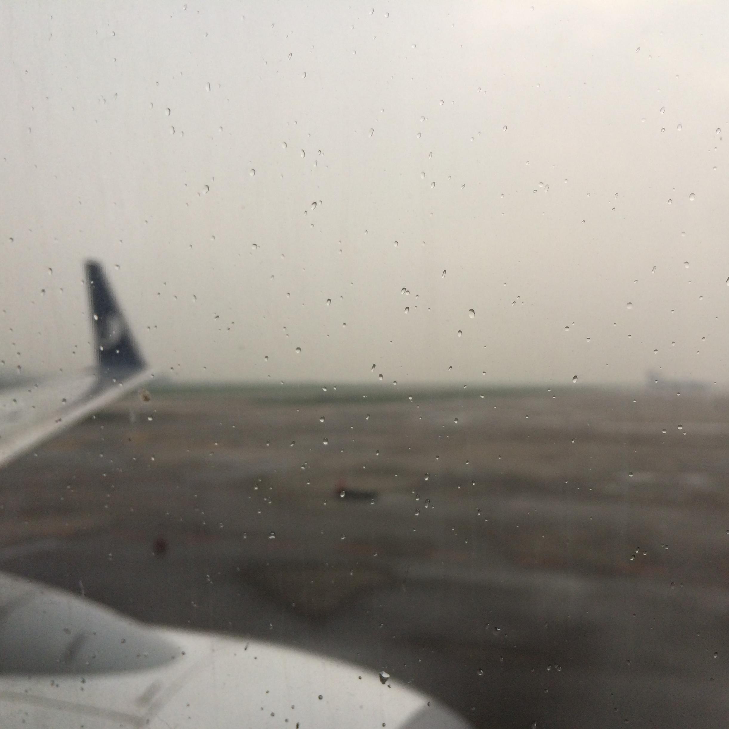 hao xiang dui ni shuo shuo xin li hua