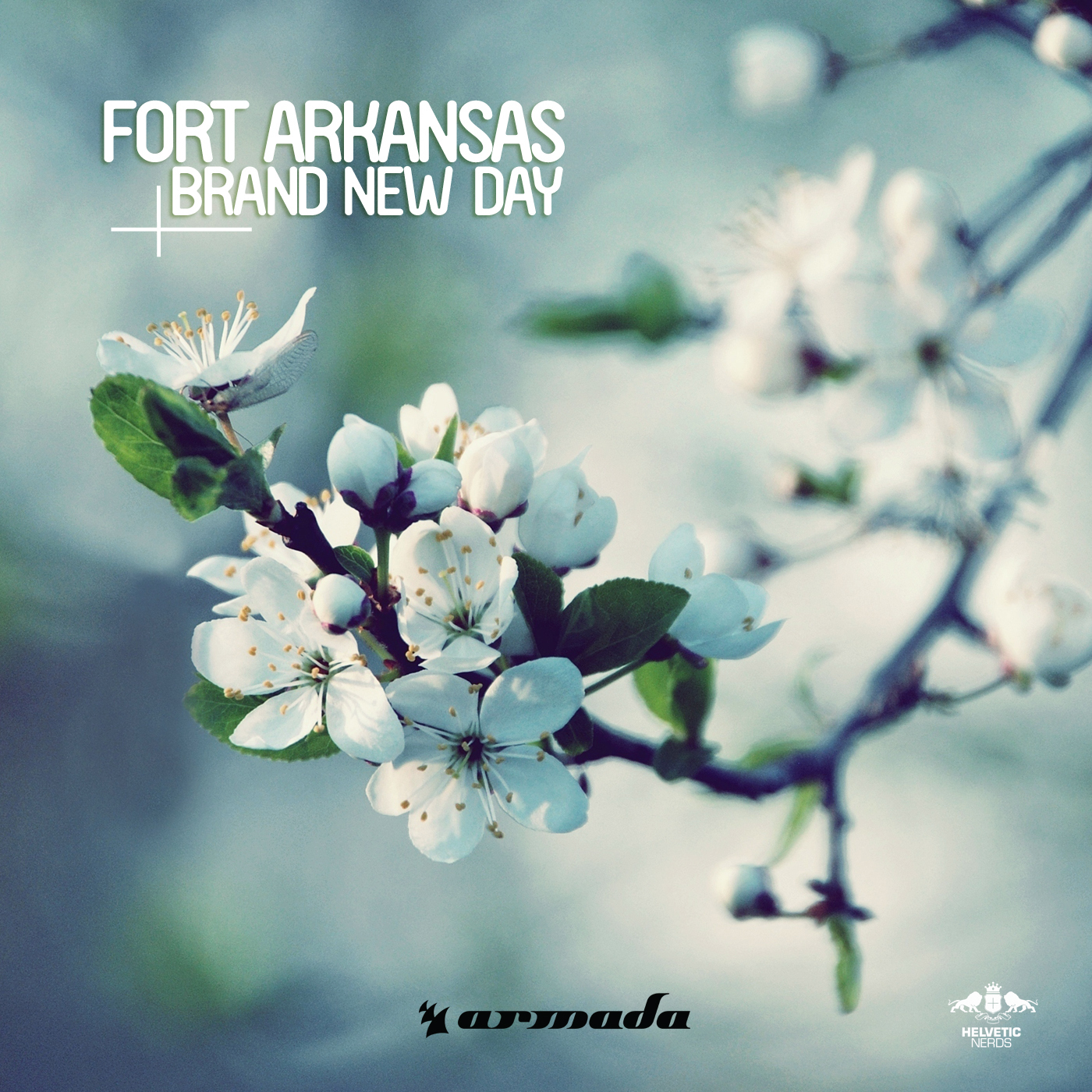 Brand New Day (Original Mix)