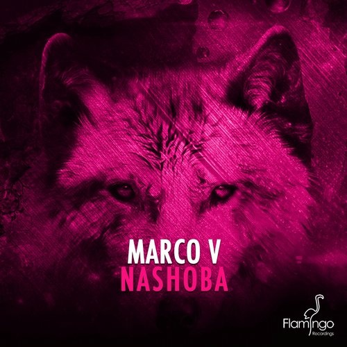 Nashoba (Thomas Newson Remix)