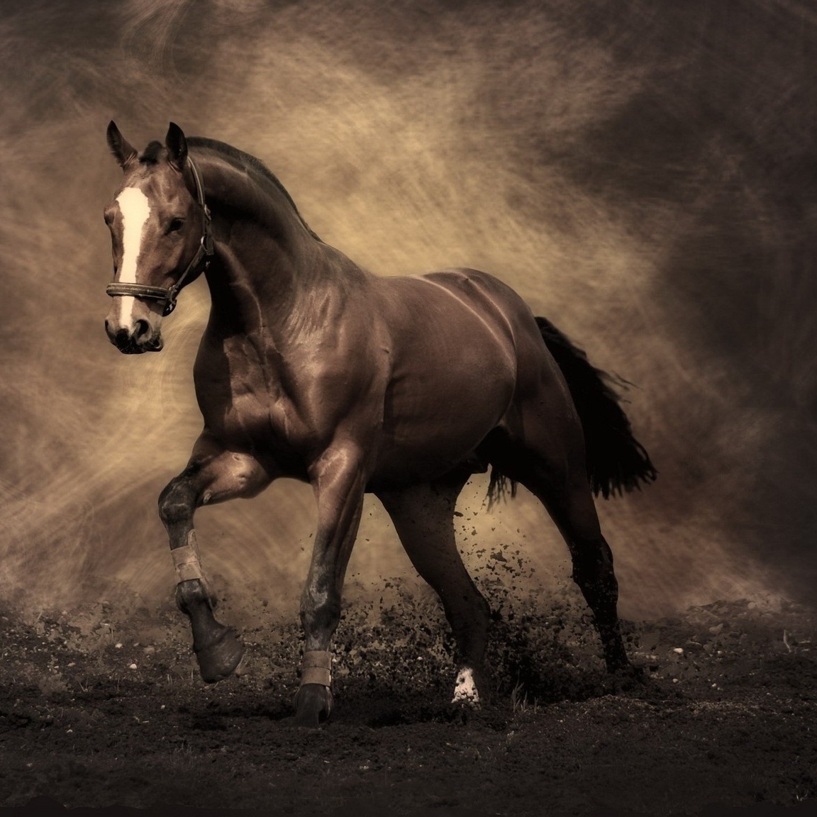 zhou yu he xiao qiao