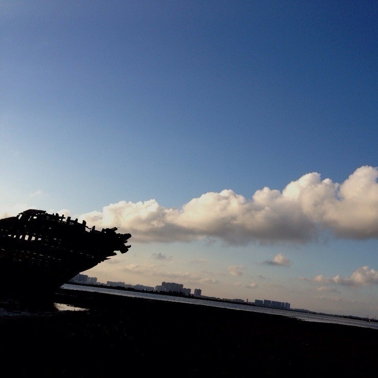 di diao she hui peng pai hai, bu ai dian yin bu ying gai