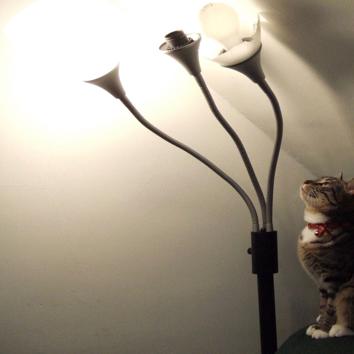 dong ri qi chuang hou de fa shen jing